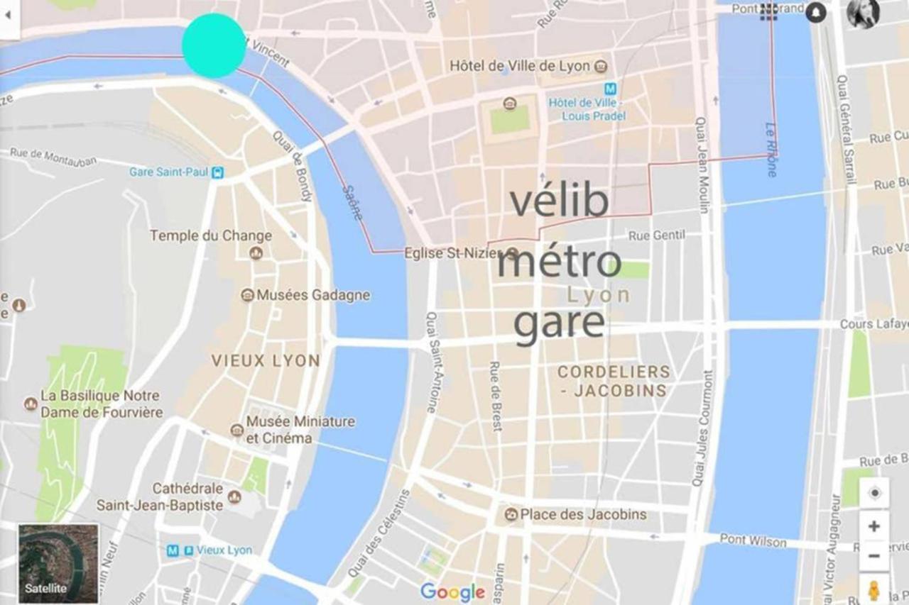 Appartement Haussmannien D'Artiste, Exception, Quai De Saone Balcon+Parking Lyon Eksteriør bilde